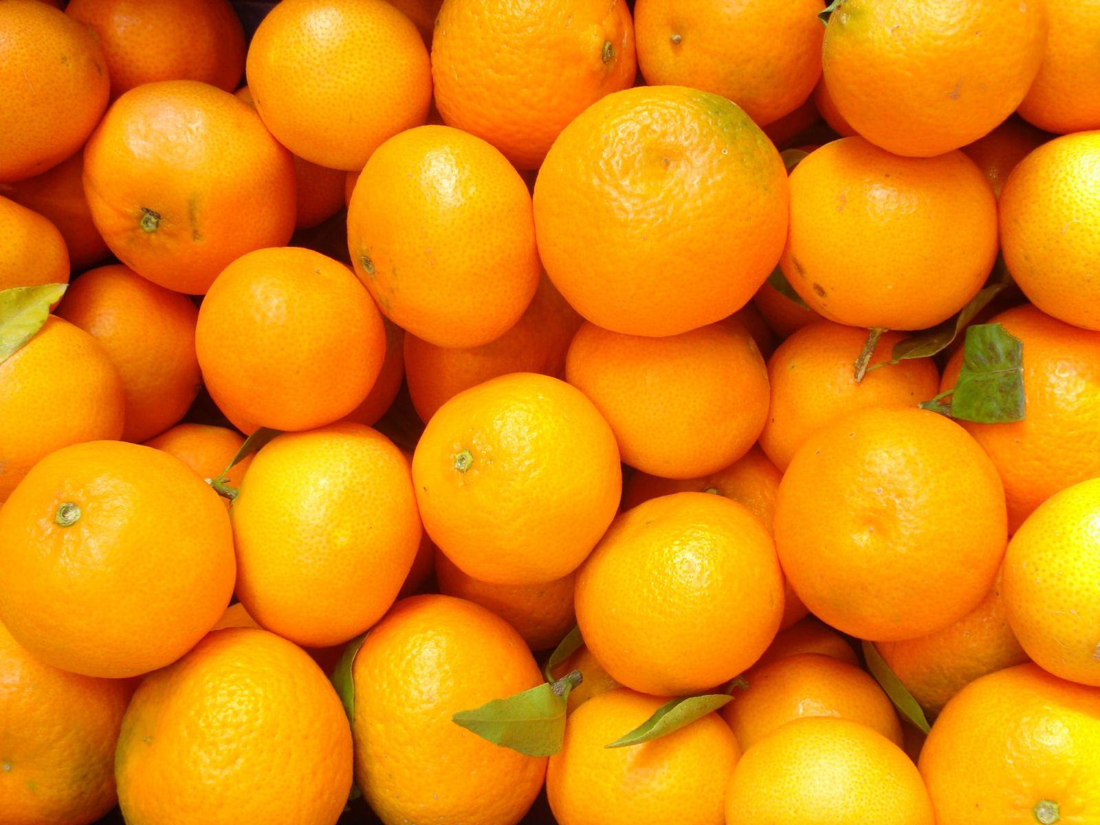 http://otslabvane-dieti.net/wp-content/uploads/2013/08/oranges_pallette.jpg
