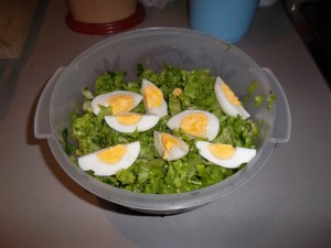 zelena-salata-s-qica-90-dnevna-dieta