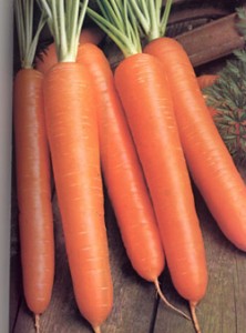 моркови